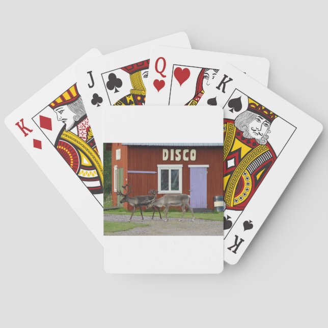 DISCO-ROTWILD SPIELKARTEN (Rückseite)