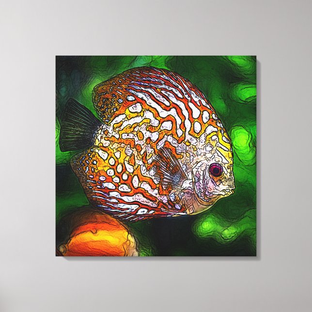 Discus_20170601_by_JAMColors Leinwanddruck (Vorderseite)