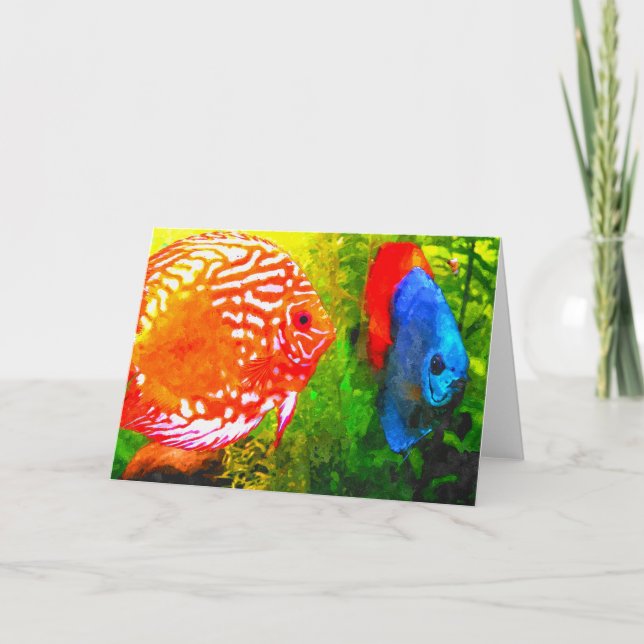 Discus aquarium jede Anlässe Gruß Karte (Vorderseite)