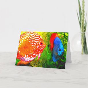 Discus aquarium poisson toutes les occasions carte