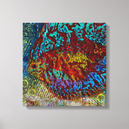 Discus Fish Stretched Canvas Print Leinwanddruck