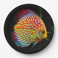 Discusaquariumfisch-Abendessen-Pappteller