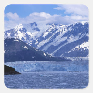 Disenchantment Bay und Hubbard-Gletscher, Quadratischer Aufkleber