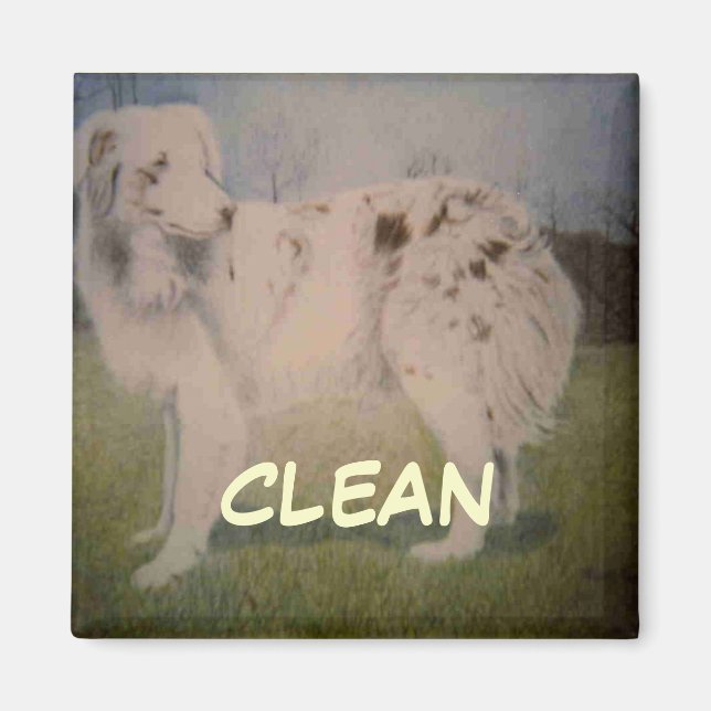 Dish Washer Status Magnet (Vorne)