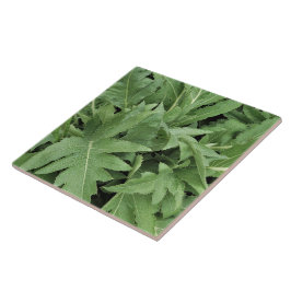 Distel-Laubwerk Fliese