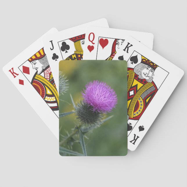 Distel-Spielkarten Spielkarten (Rückseite)