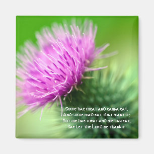 Distel und Selkirk Anmut-Magnet Magnet