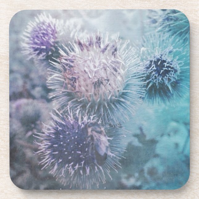 Distelblüten Getränkeuntersetzer (Vorderseite)