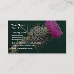 DistelhauptBlumen Visitenkarte
