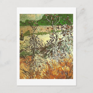 Disteln, Van Gogh Fine Art Postkarte
