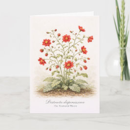 Distracta dispersissima - The Scattered Bloom Karte