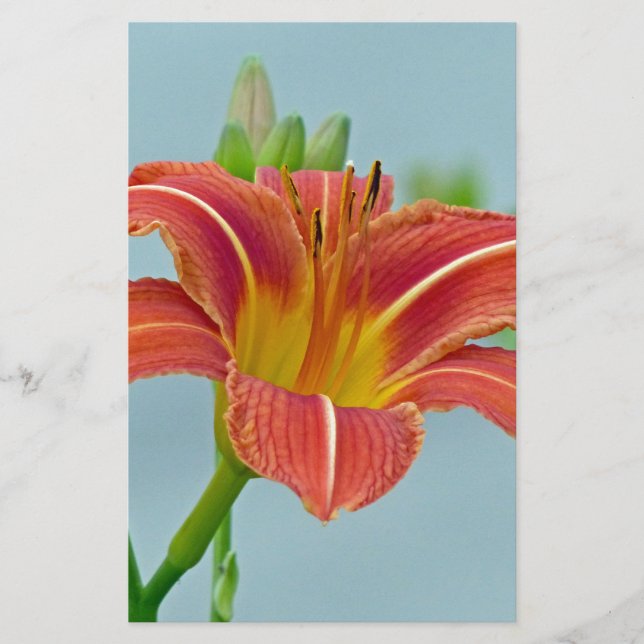 Ditch Lily Briefpapier (Vorderseite)