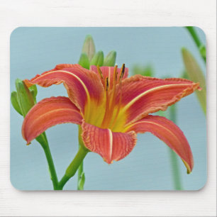 Ditch Lily Mousepad