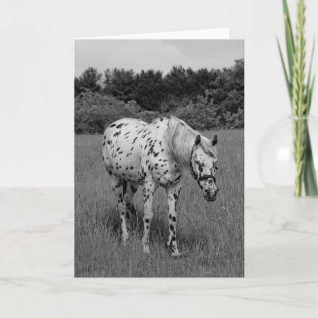 Dito Karte (Vorderseite)