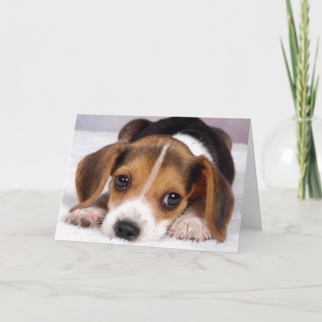 Ditzy Dogs~Beagle Gruß-Karte Karte (Vorderseite)