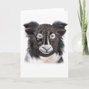 Ditzy Dogs~Border Collie Greeting Card~Sheep Karte