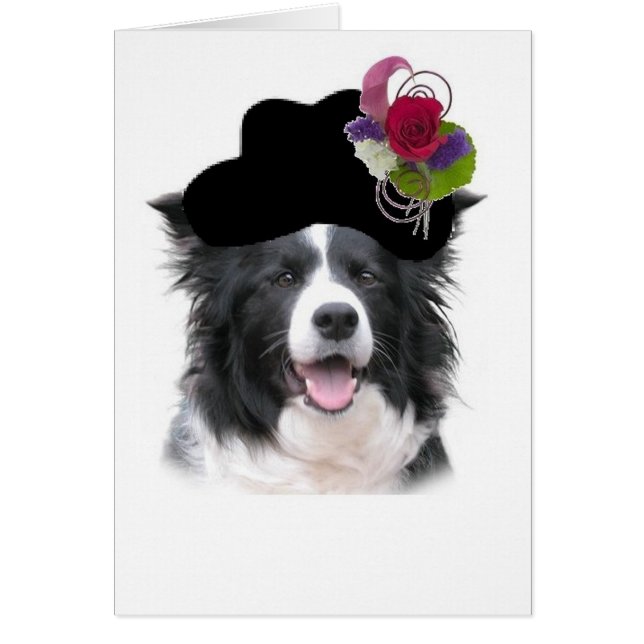 Ditzy Dogs~Border Collie Note Card~Halloween (Vorne)