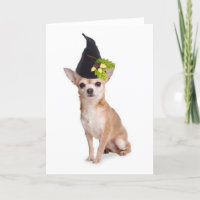 Ditzy Dogs~Original Greetomg Card~Chihuahua