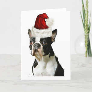 Ditzy Dogs~Original Notecard~Boston Terrier Feiertagskarte