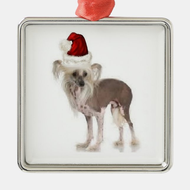 Ditzy Dogs~Original Ornament~Chinese Crested Silbernes Ornament (Vorne)