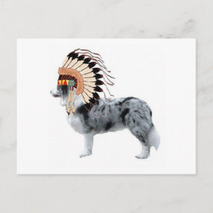 Ditzy Dogs~Original Postcard~Border Collie Postkarte