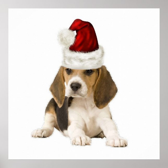 Ditzy Dogs~Original Poster~Beagle~Christmas Poster (Vorne)