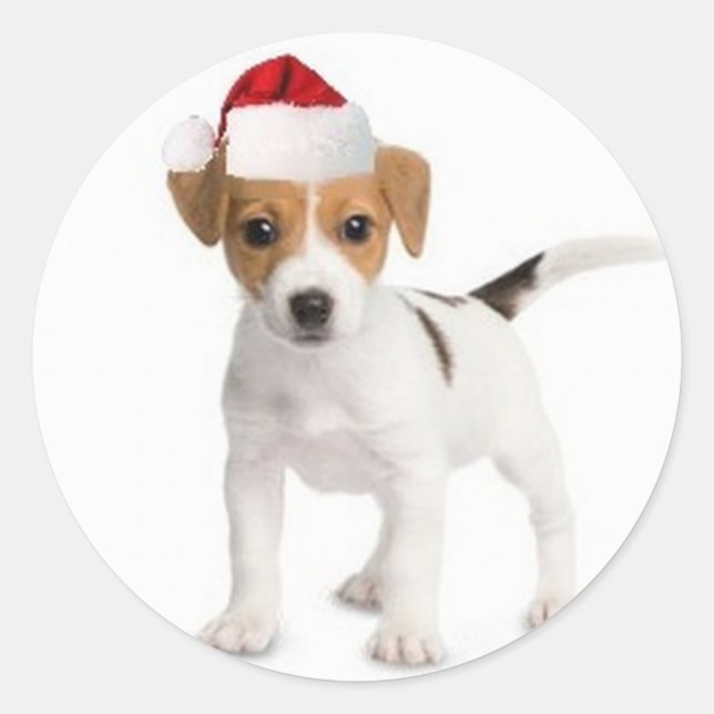 Ditzy Dogs~Original Sticker~Jack Russell Terrier Runder Aufkleber (Vorderseite)