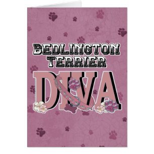 DIVA de Bedlington Terrier