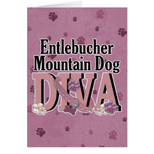 DIVA de chien de montagne d'Entlebucher