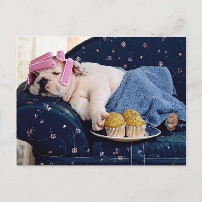 Diva in der Herstellung Postkarte (Vorderseite)