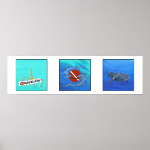 DiveBuddy.com Affiche