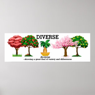 DIVERSE - Affiche de vocabulaire