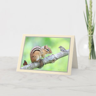 Diverse Welt: Chipmunk, Vogel, Blume Karte