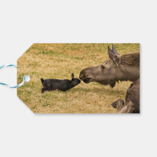 Diversity Geschenkanhänger