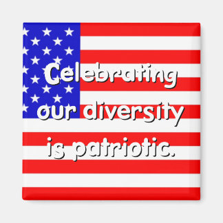 Diversity ist Patriotic Magnet