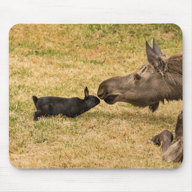 Diversity Mousepad (Vorne)