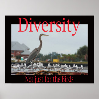Diversity, nicht nur für Vögel Poster