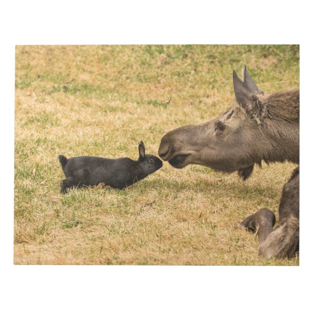 Diversity Notizblock (Vorderseite)