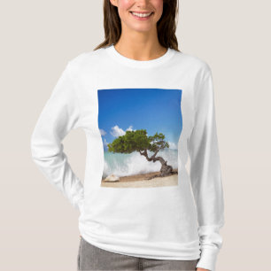 Divi Divi Baum, Eagle Beach, Aruba, Karibik T-Shirt