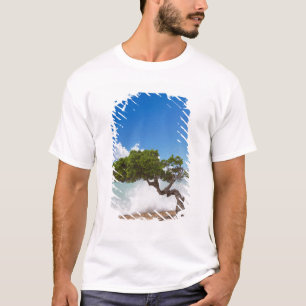 Divi Divi Baum, Eagle Beach, Aruba, Karibik T-Shirt