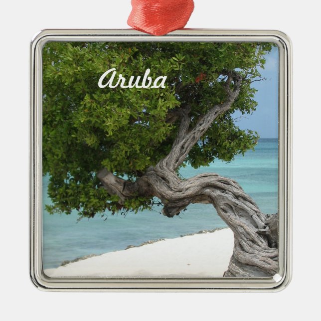 Divi Divi Baum in Aruba Silbernes Ornament (Vorne)