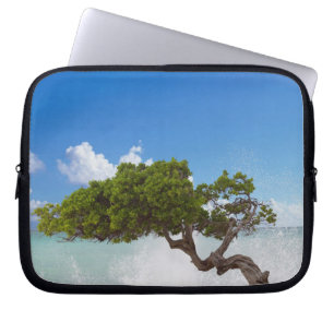 Divi Divi Tree, Eagle Beach, Aruba, Karibik Laptopschutzhülle