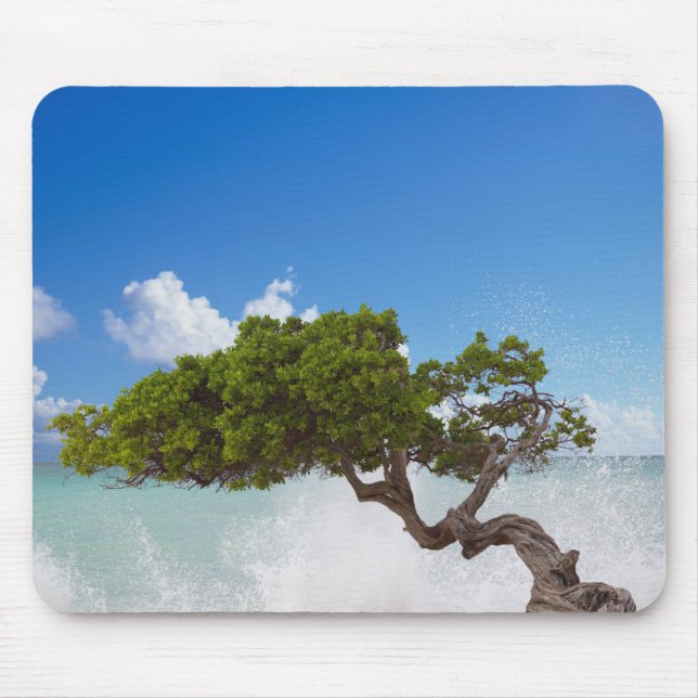 Divi Divi Tree, Eagle Beach, Aruba, Karibik Mousepad (Vorne)