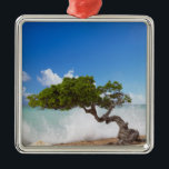 Divi Divi Tree, Eagle Beach, Aruba, Karibik Silbernes Ornament<br><div class="desc">COPYRIGHT Paul Thompson / DanitaDelimont.com| CA04 PTH0005.jpg| Divi Divi Tree,  Eagle Beach,  Aruba,  Karibik</div>