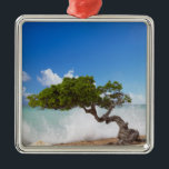 Divi Divi Tree, Eagle Beach, Aruba, Karibik Silbernes Ornament<br><div class="desc">COPYRIGHT Paul Thompson / DanitaDelimont.com| CA04 PTH0005.jpg| Divi Divi Tree,  Eagle Beach,  Aruba,  Karibik</div>
