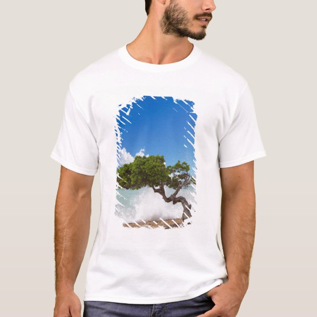Divi Divi Tree, Eagle Beach, Aruba, Karibik T-Shirt (Vorderseite)
