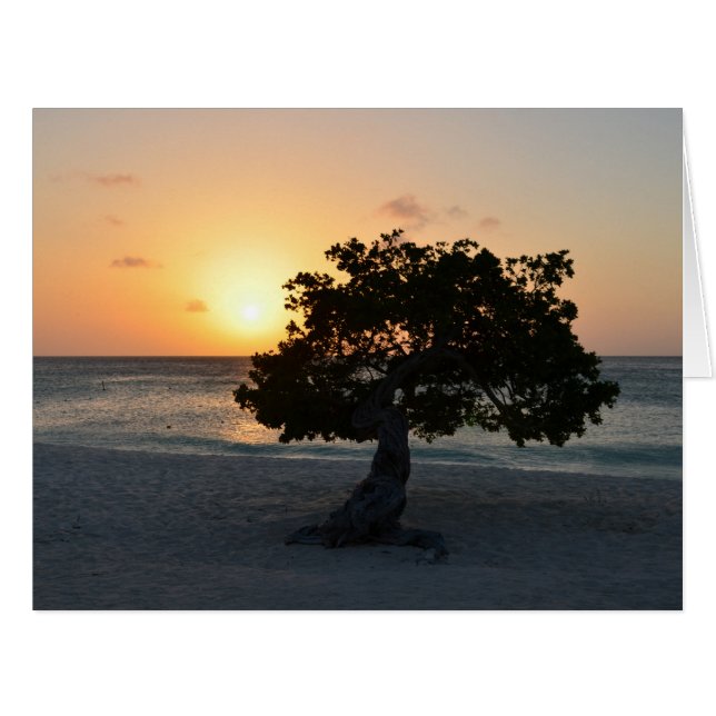 Divi Tree Sunset (Vorderseite (Horizontal))