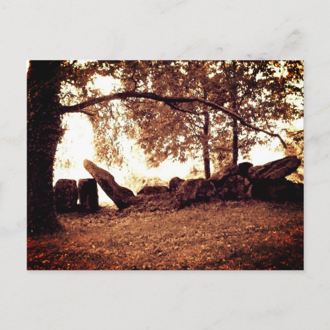 Divine Archive Postkarte (Vorderseite)