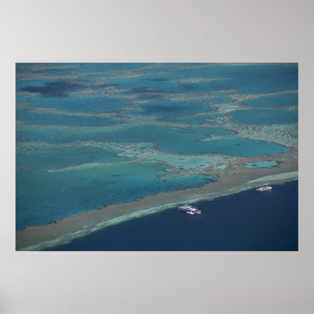 Diving platforms near reef, Great Barrier Poster (Vorne)