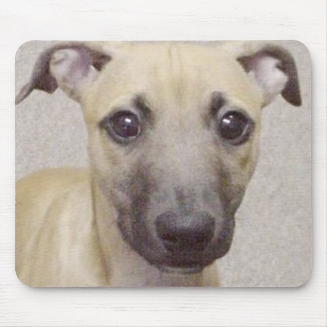 Divo Mousepad (Vorne)